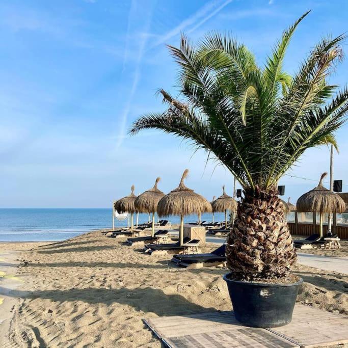 Cosy Beach House For Ocean & Nature Lovers Noordwijk Ngoại thất bức ảnh